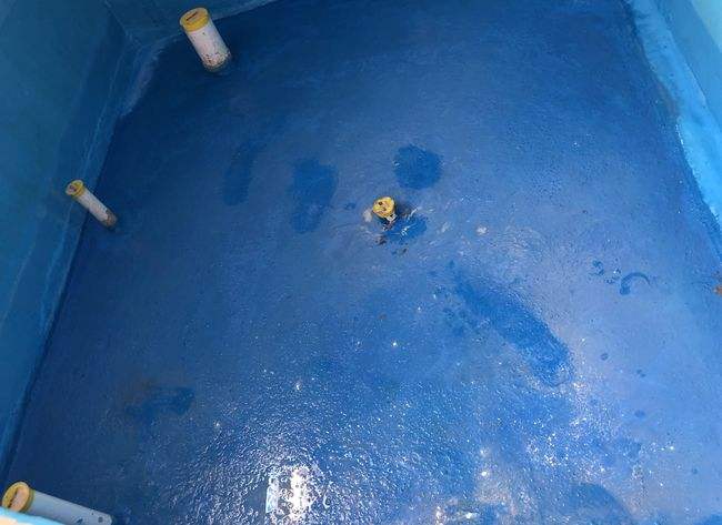 奉贤区卫生间防水公司